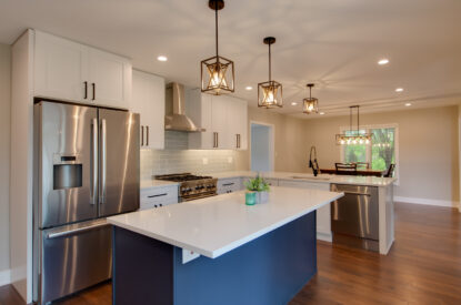 Full-home-remodel-glen-ellyn-remodel