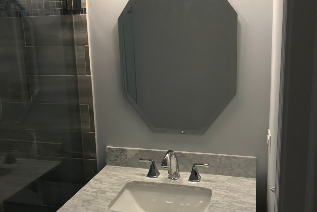 Glen-ellyn-powder-room-shower-2