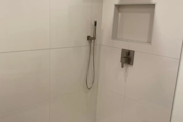 Full Master Remodel Glen Ellyn 3