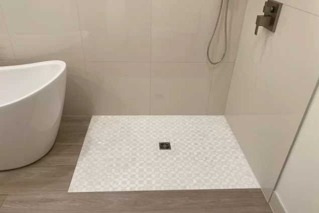 Full Master Remodel Glen Ellyn 4