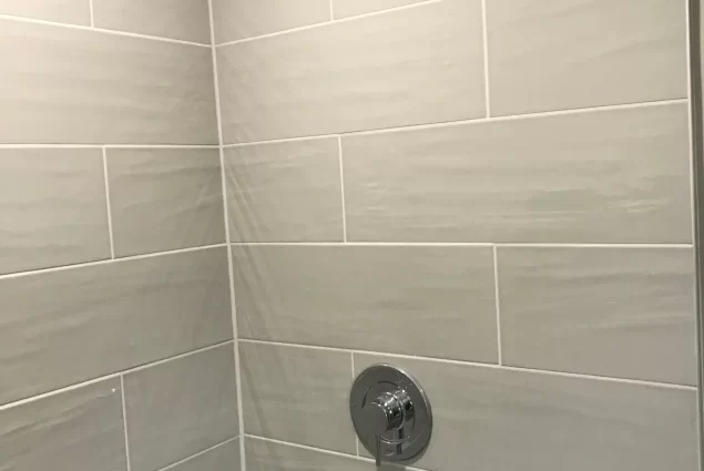 Glen Ellyn Custom Shower 3