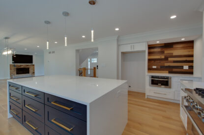 Kitchen-remodel-glen-ellyn-15