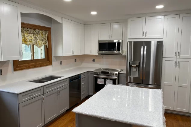 Glen Ellyn Kitchen Remodel 3