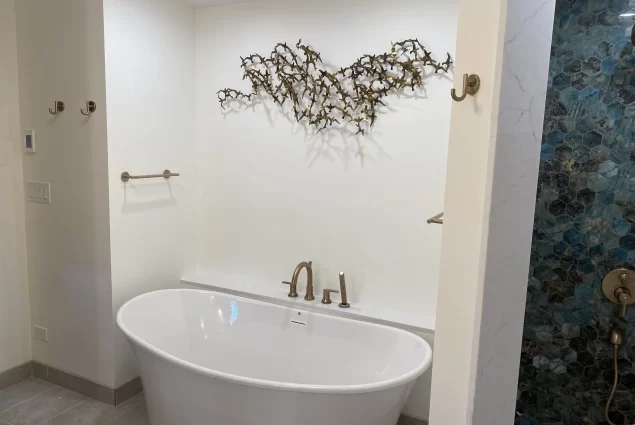 Glen Ellyn Custom Steam Shower 1