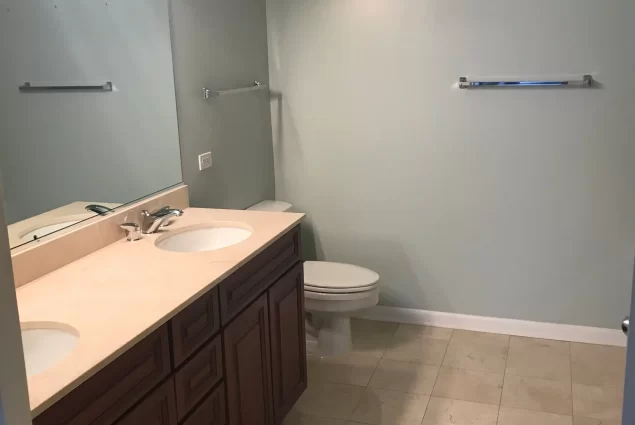 Glen Ellyn Tub to Shower Conversion