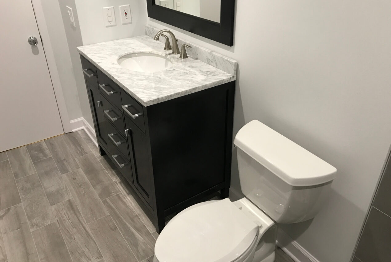 Tub-to-shower-glen-ellyn-3